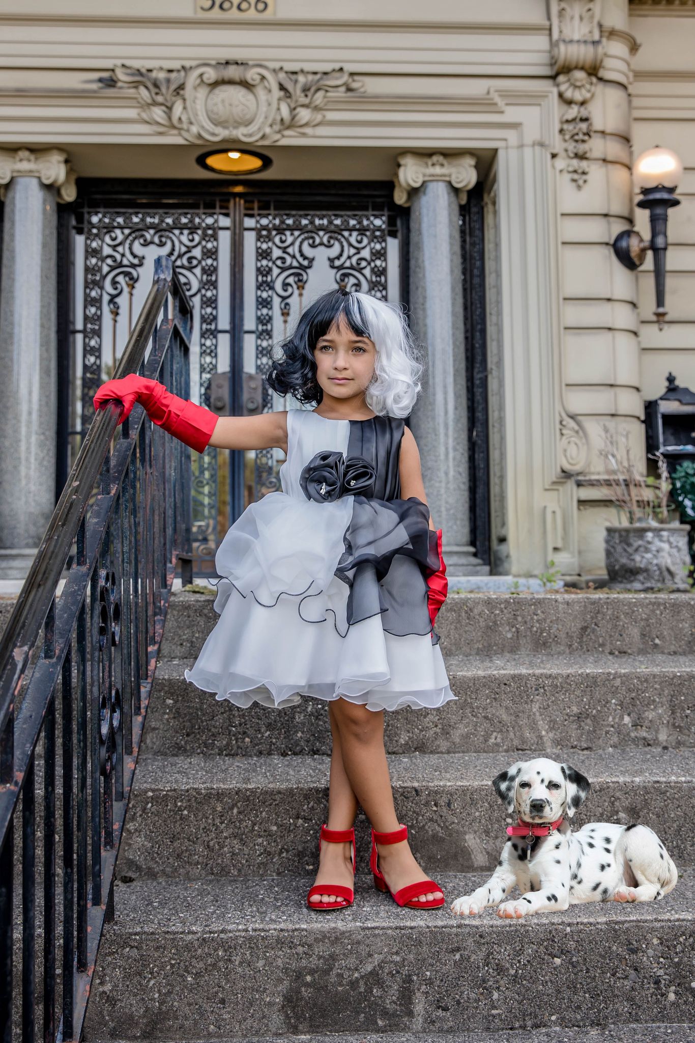 Cruella (inspired) Dress