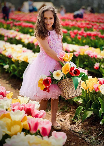 Pink Butterfly Dress