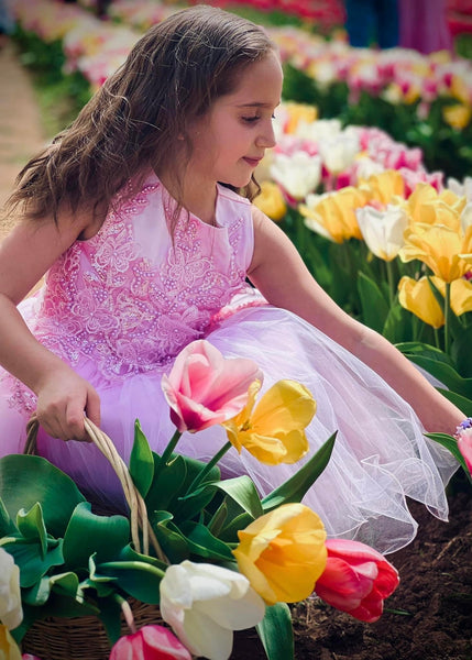 Pink Butterfly Dress