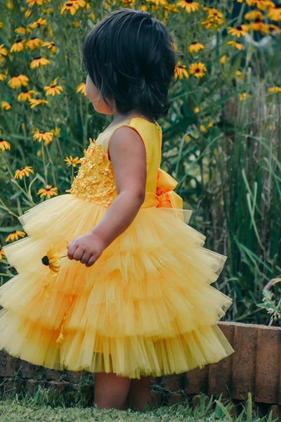 Amber Dress